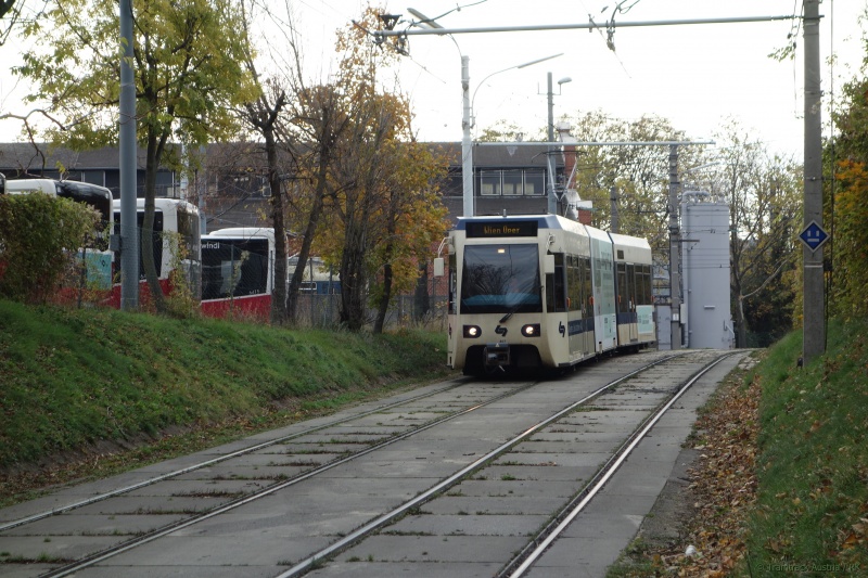 Datei:2017-11-01 WLB Siebertg 407.jpg